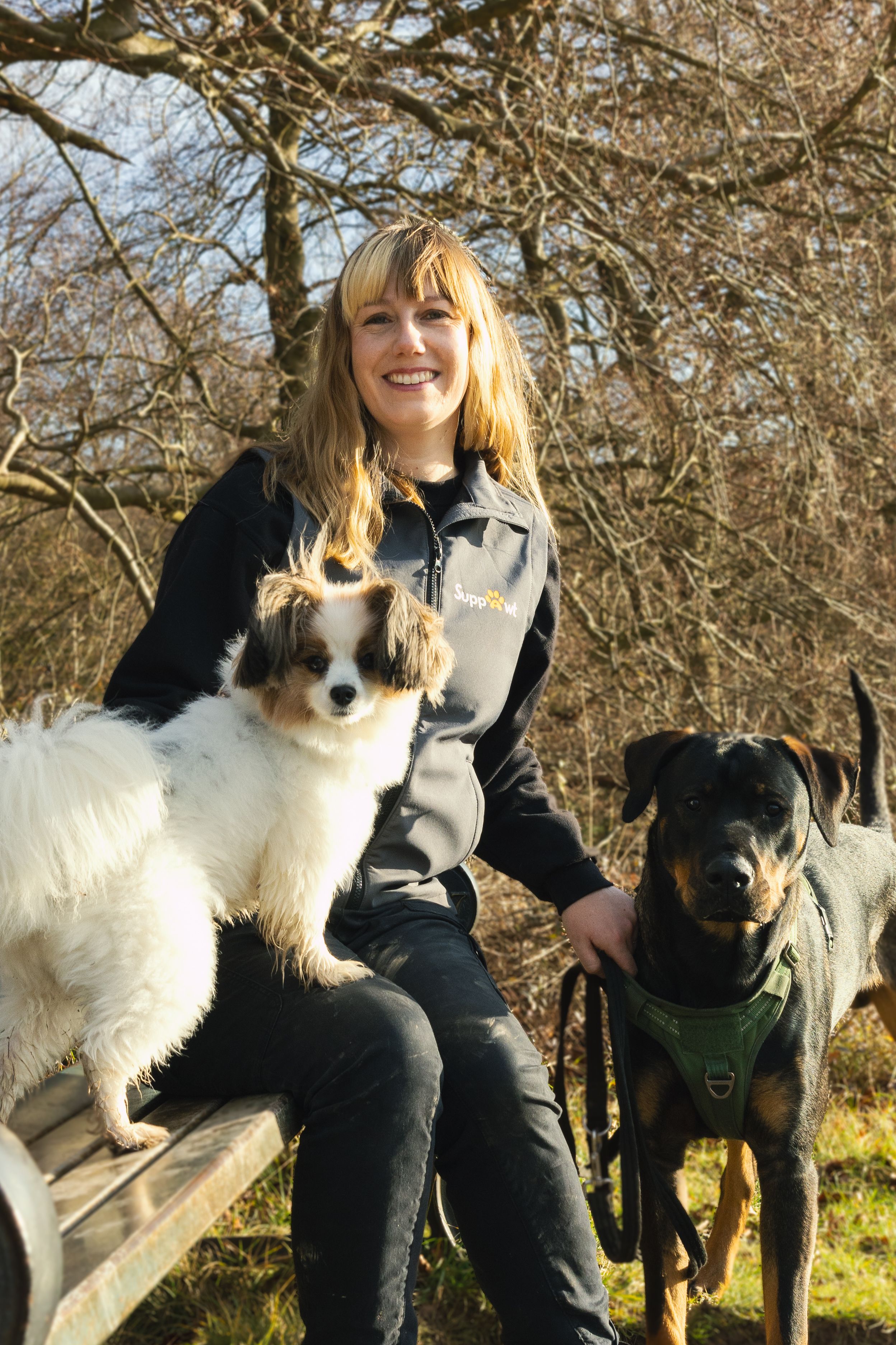 Lily dog behaviourist