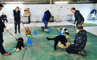 Puppy classes