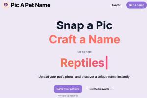 Pic a Pet Name