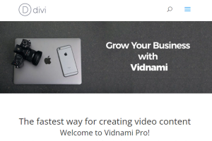 Vidnami Pro