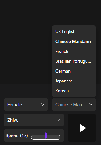 akool language options
