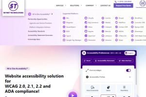 All in One Accessibility PRO