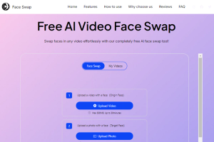 Video Face Swap Online Free