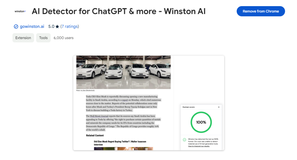 winston ai chrome extension