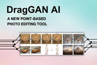 DragGAN AI: What is It and a Detailed Review [2023]
