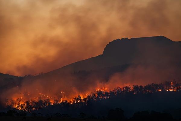 Bushfire Prone Land Map New South Wales