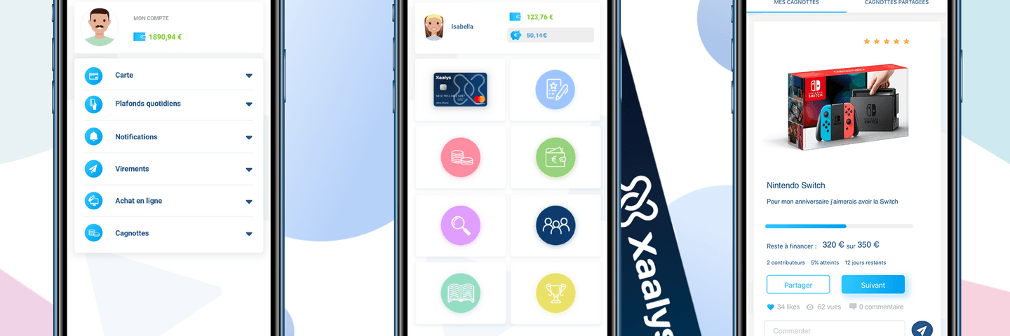 Screenshot application Xaalys