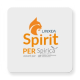 Logo PER LINXEA Spirit