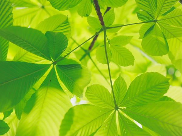 Tout sur l'investissement socialement responsable