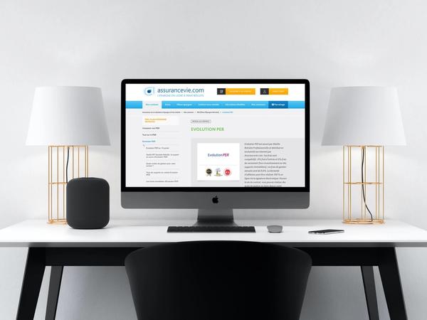 Un mockup du site d'Évolution PER