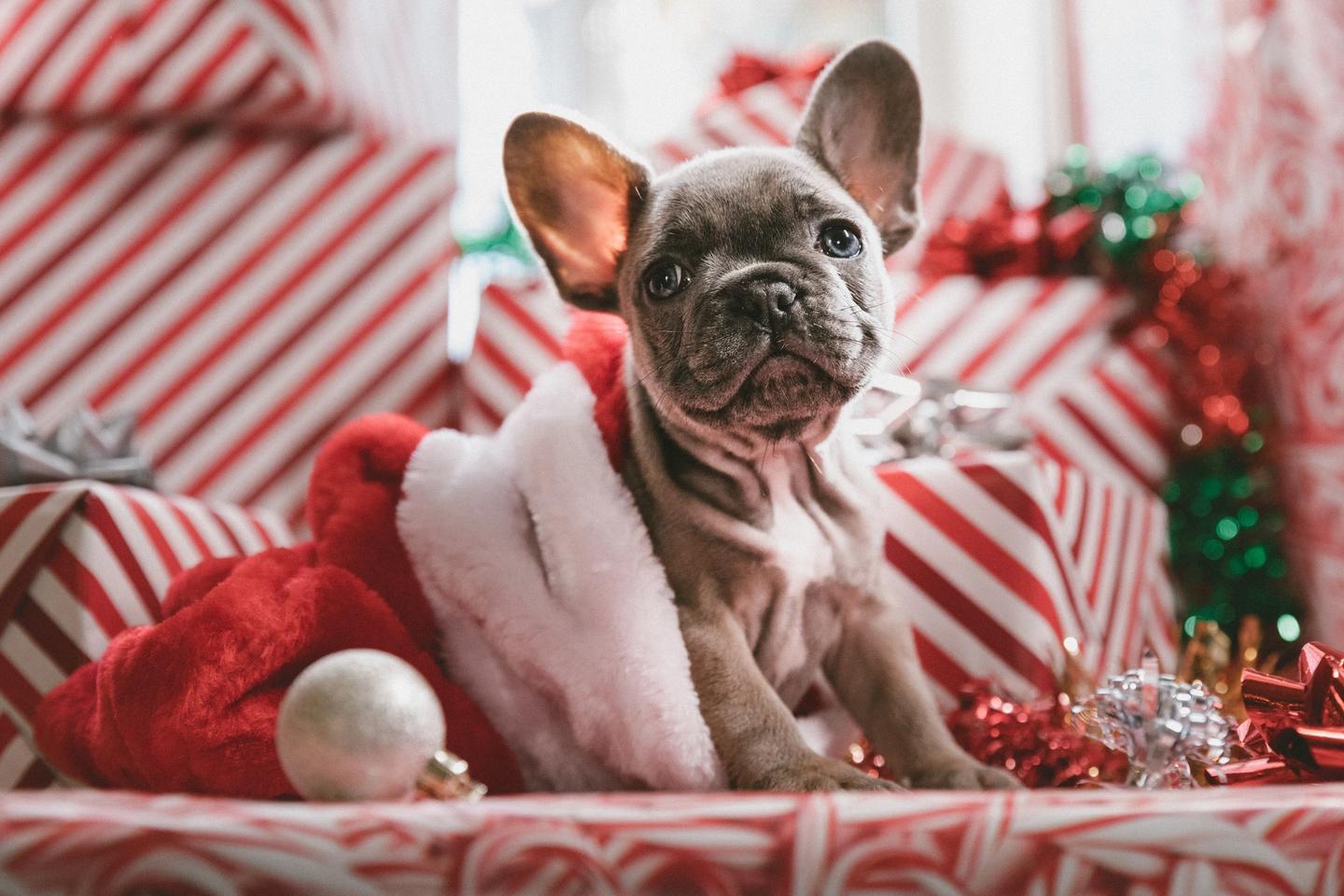 10 Astuces Pour Economiser Sur Les Cadeaux De Noel Moneylo