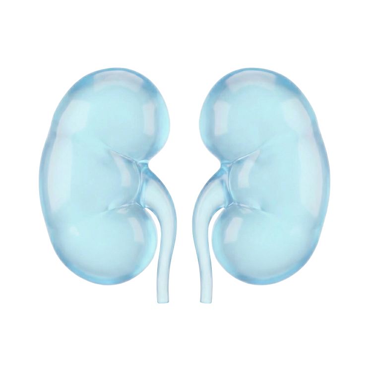 Chronic kidney disease