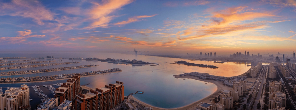 The View at the Palm