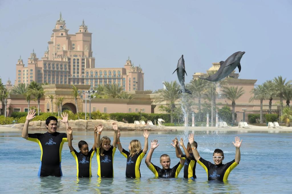 trip of dubai dolphin bay