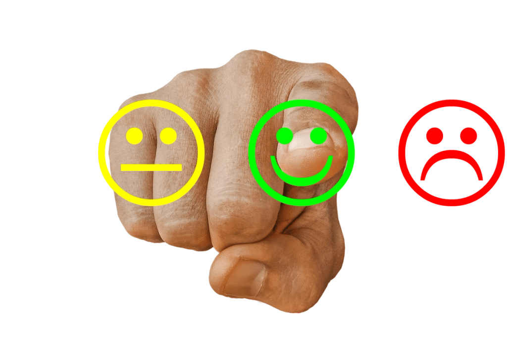 Business Review Services