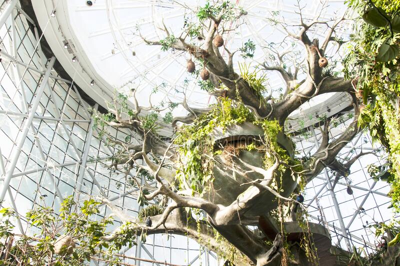 inside of The Green Planet Dubai