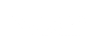VX3