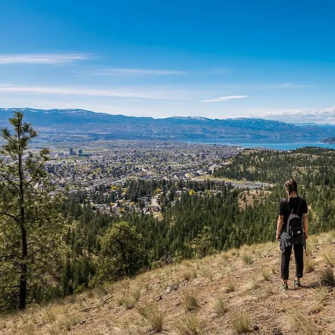 Knox Mountain Hiking Tour with Okanagan Views