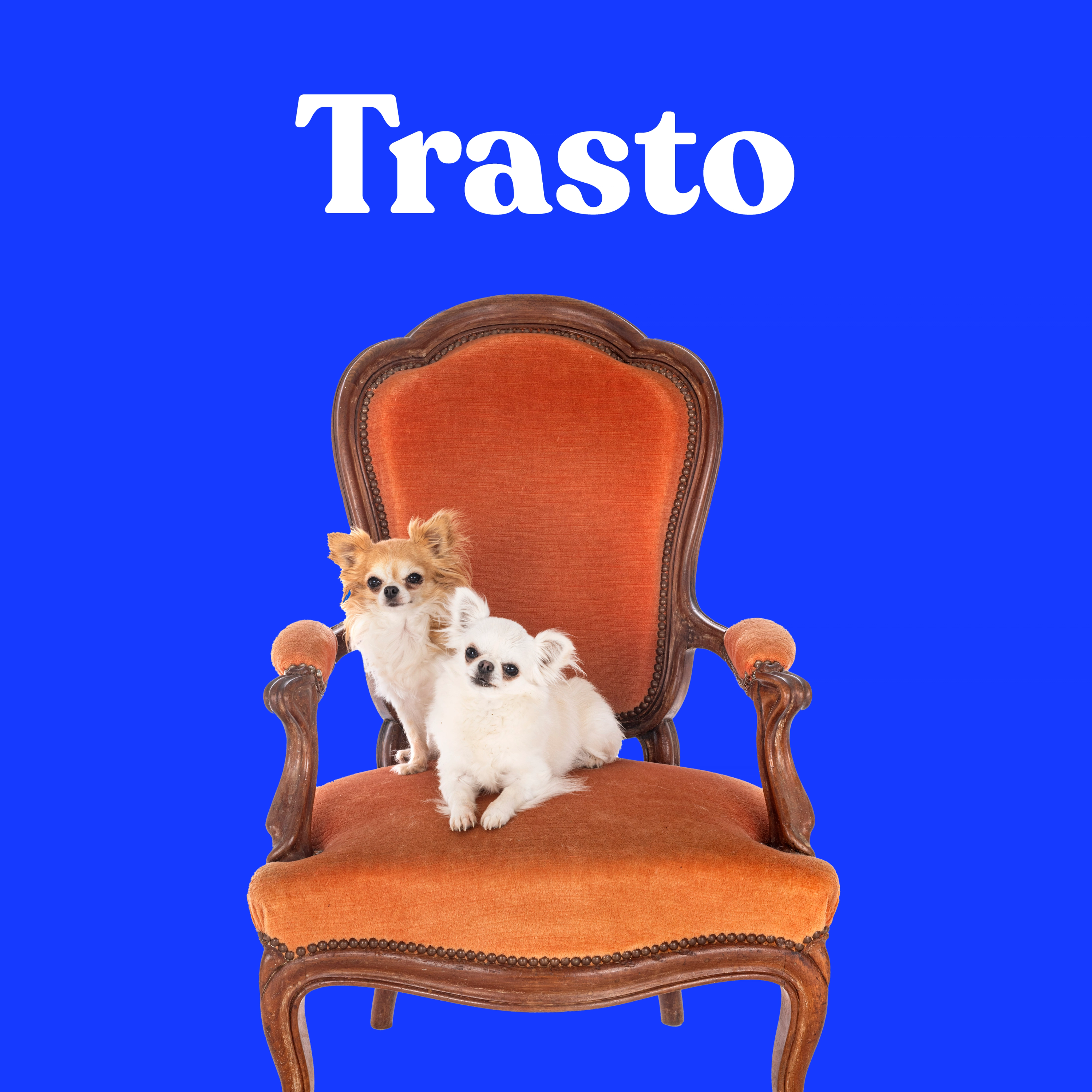 Trasto