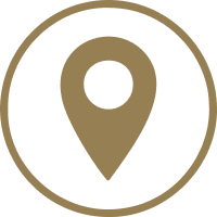 pin logo