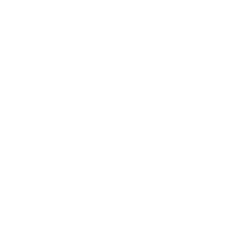icon-1