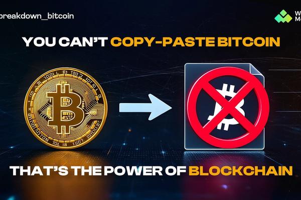 Why You Can’t Copy-Paste Bitcoin