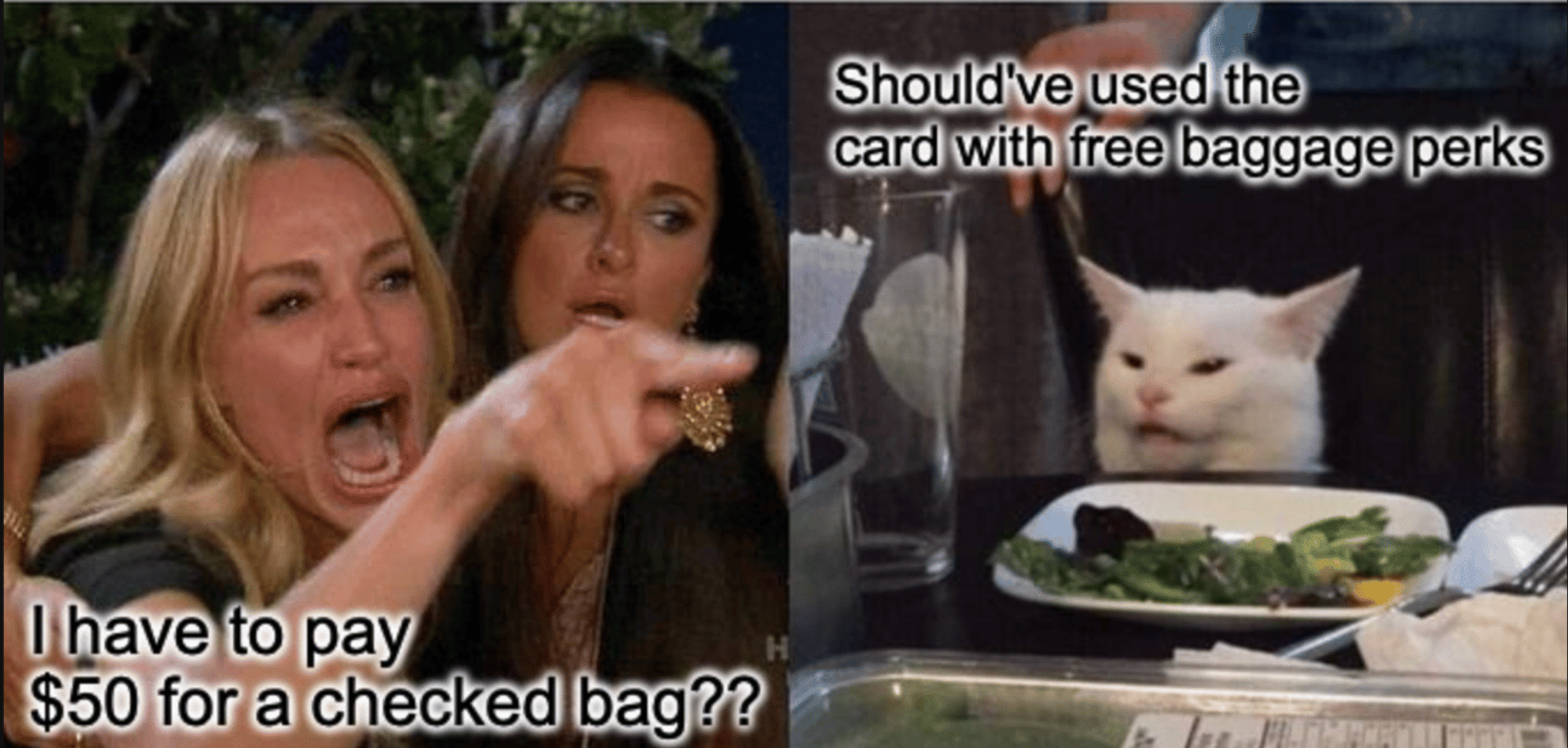 Lady yelling at cat meme