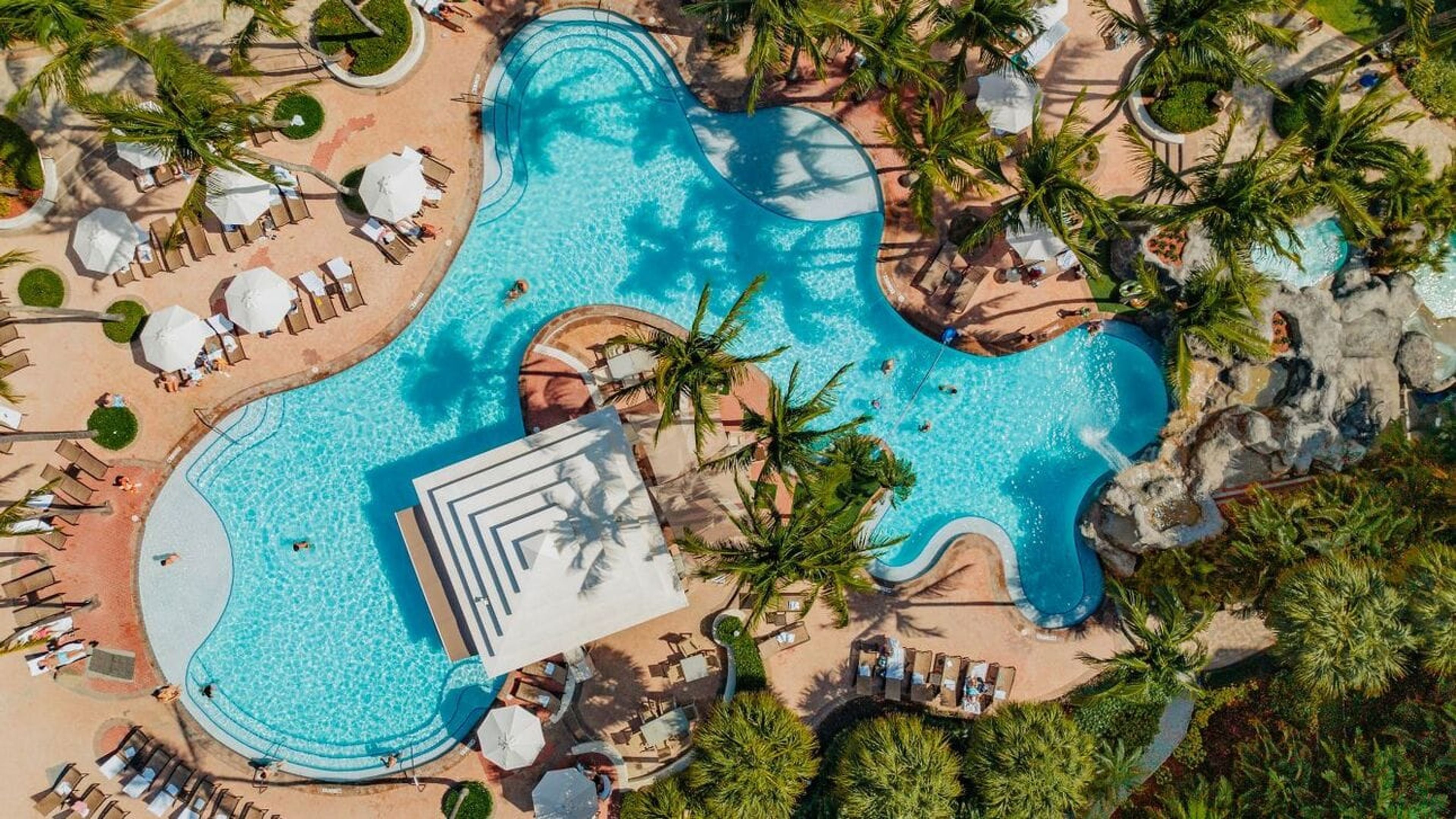 An aerial photo of a pool with palm trees