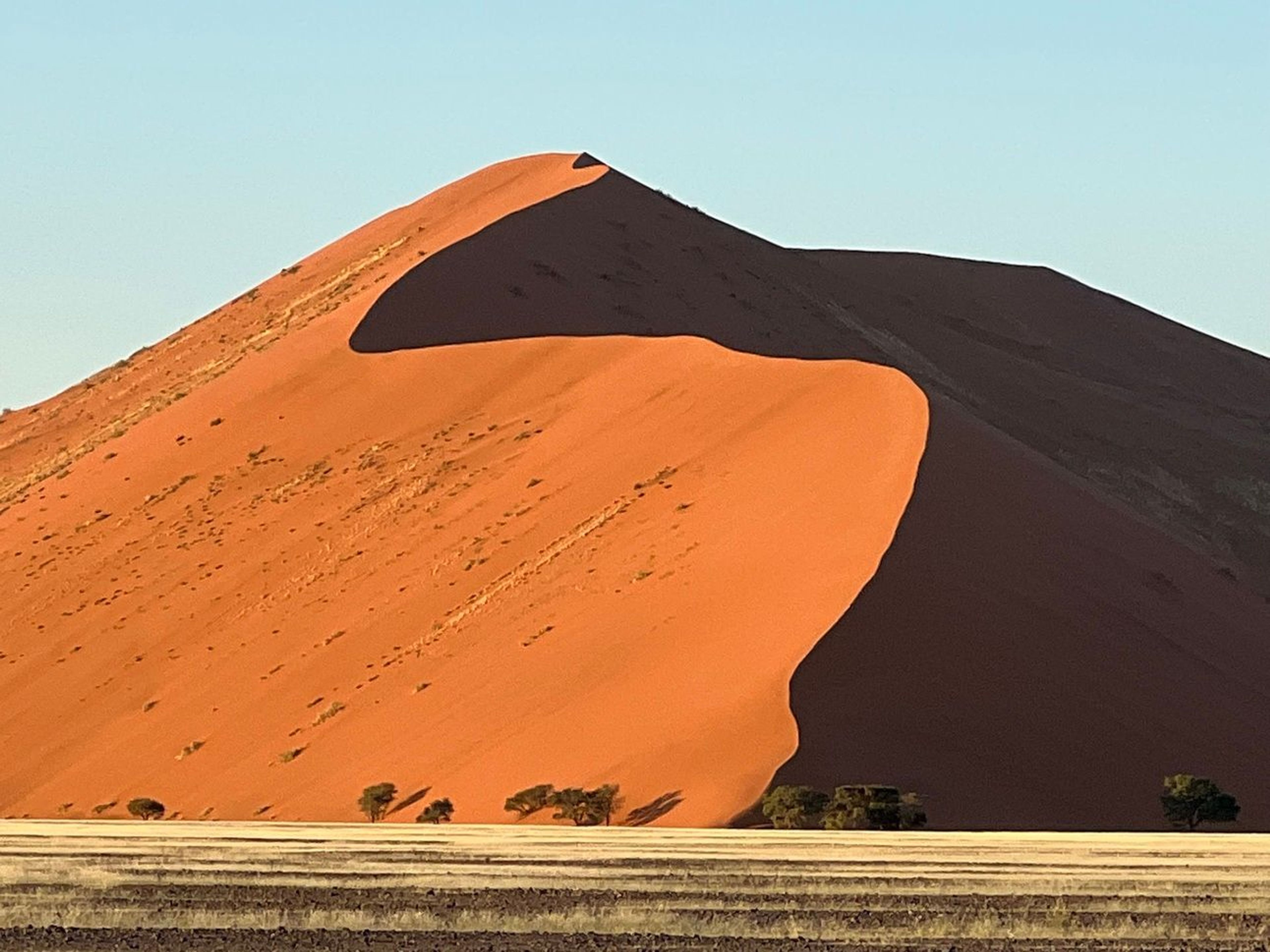 The dunes of Namibia
