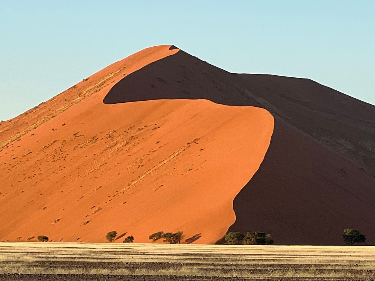 The dunes of Namibia