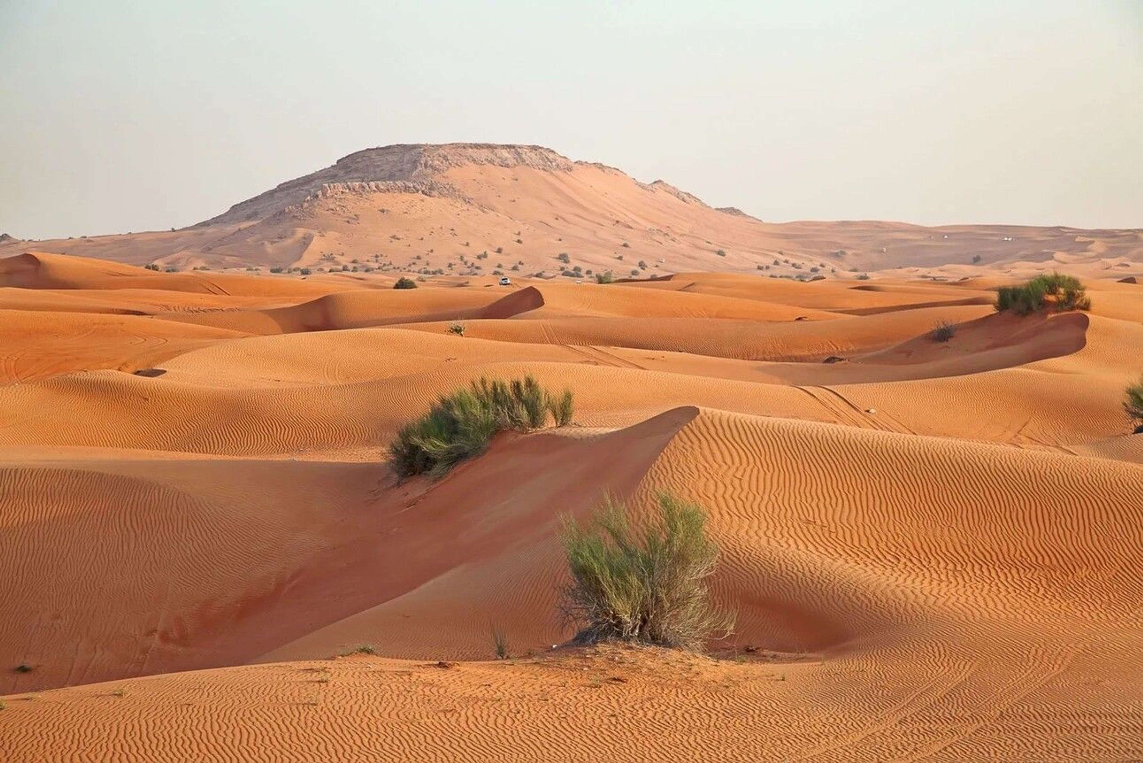 Photo of a desert in Saudi Arabia