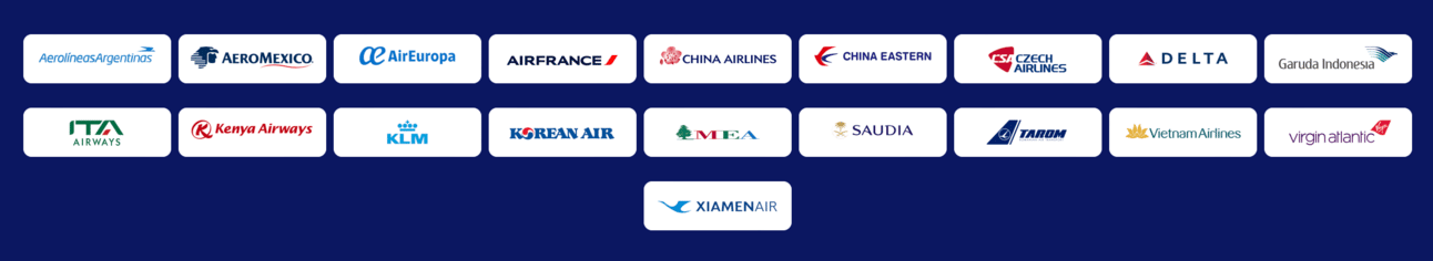 SkyTeam members