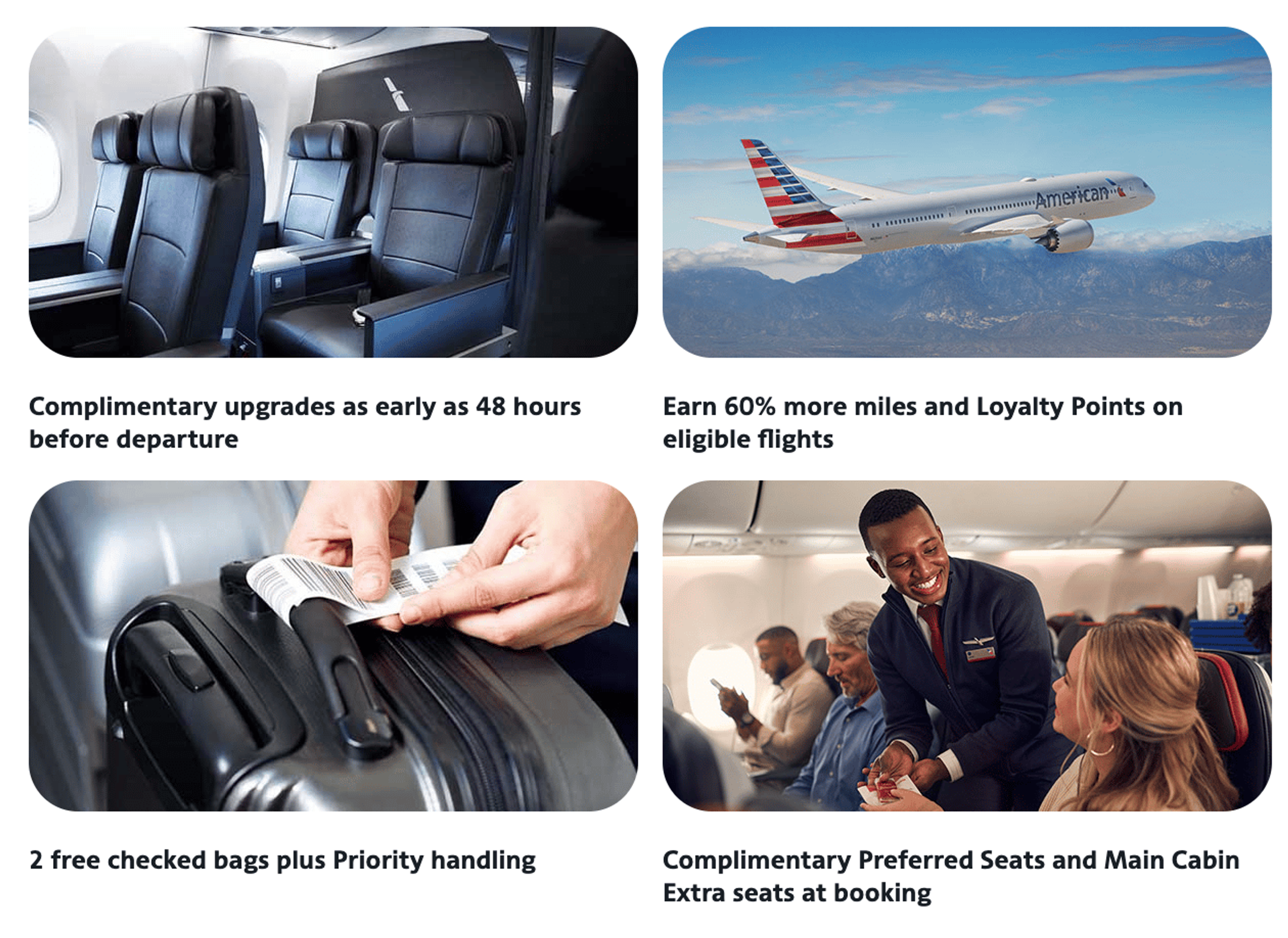 AA Platinum perks
