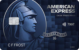 Blue Cash Preferred® Card from American Express card art