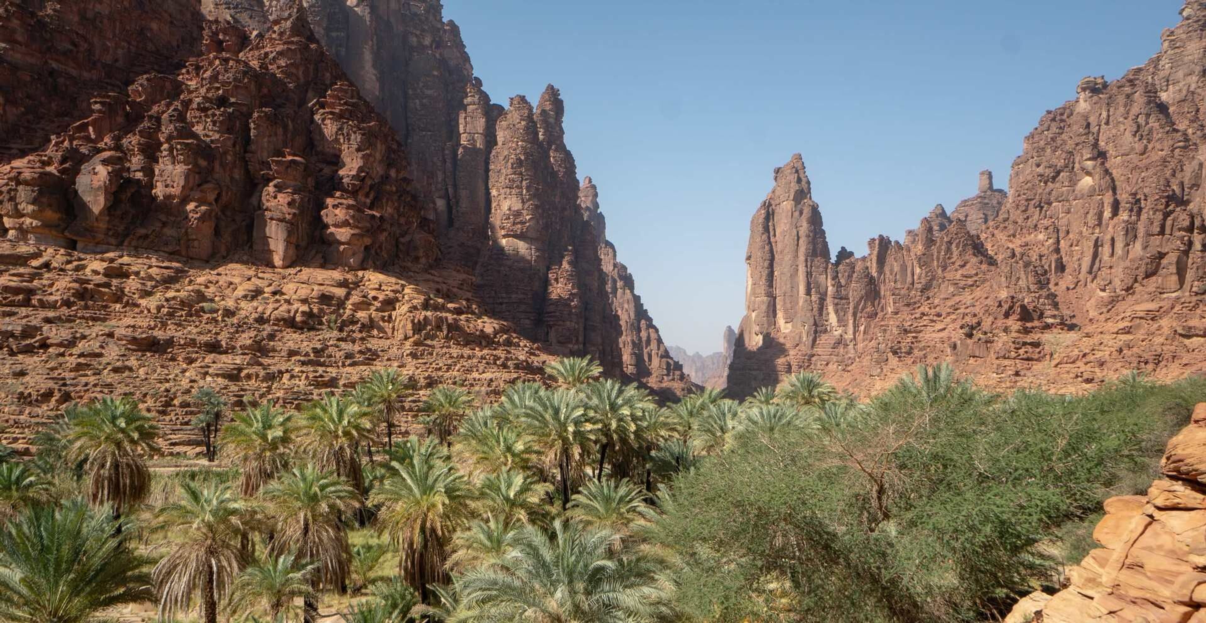 Saudi Arabia Photo