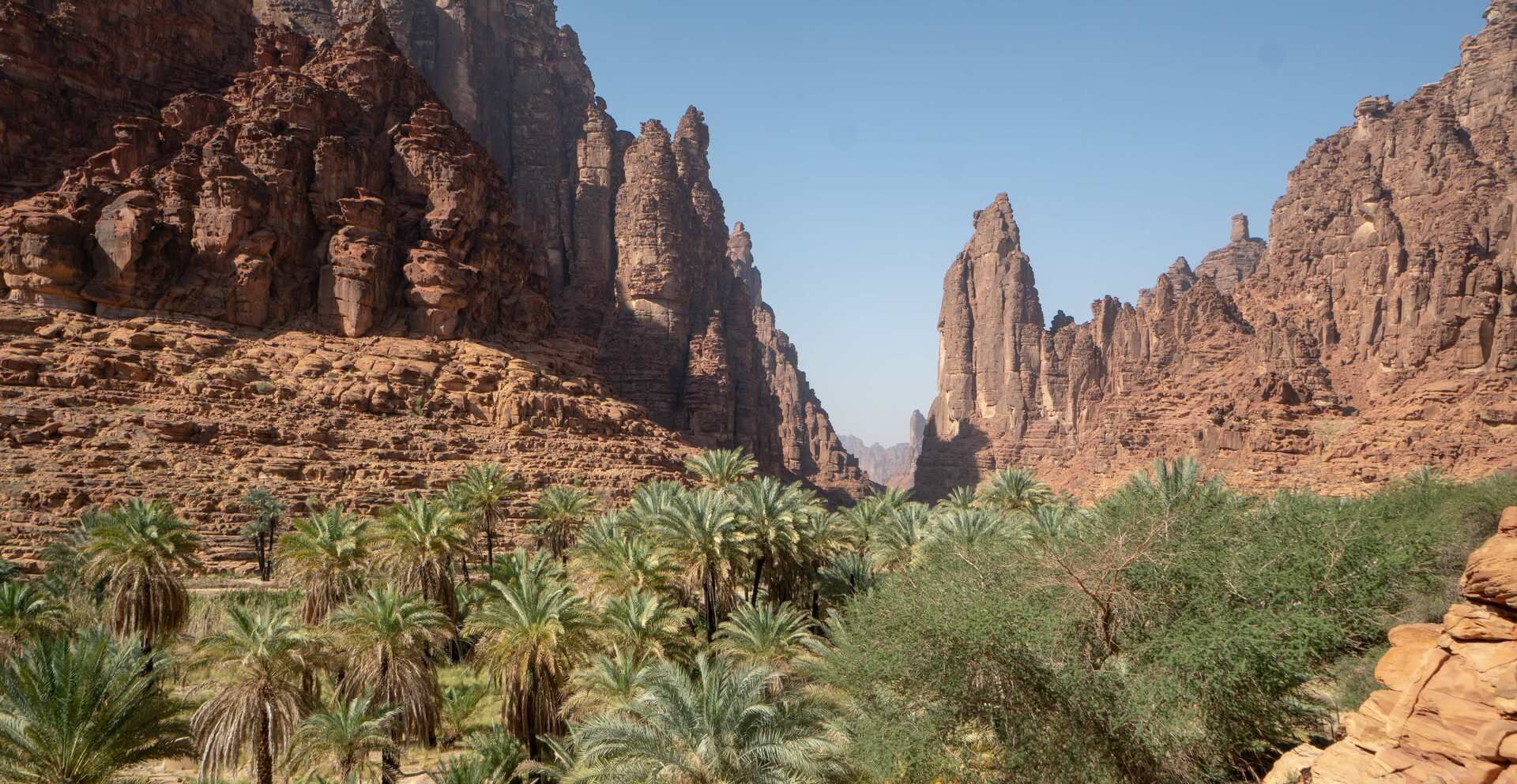 Saudi Arabia Photo