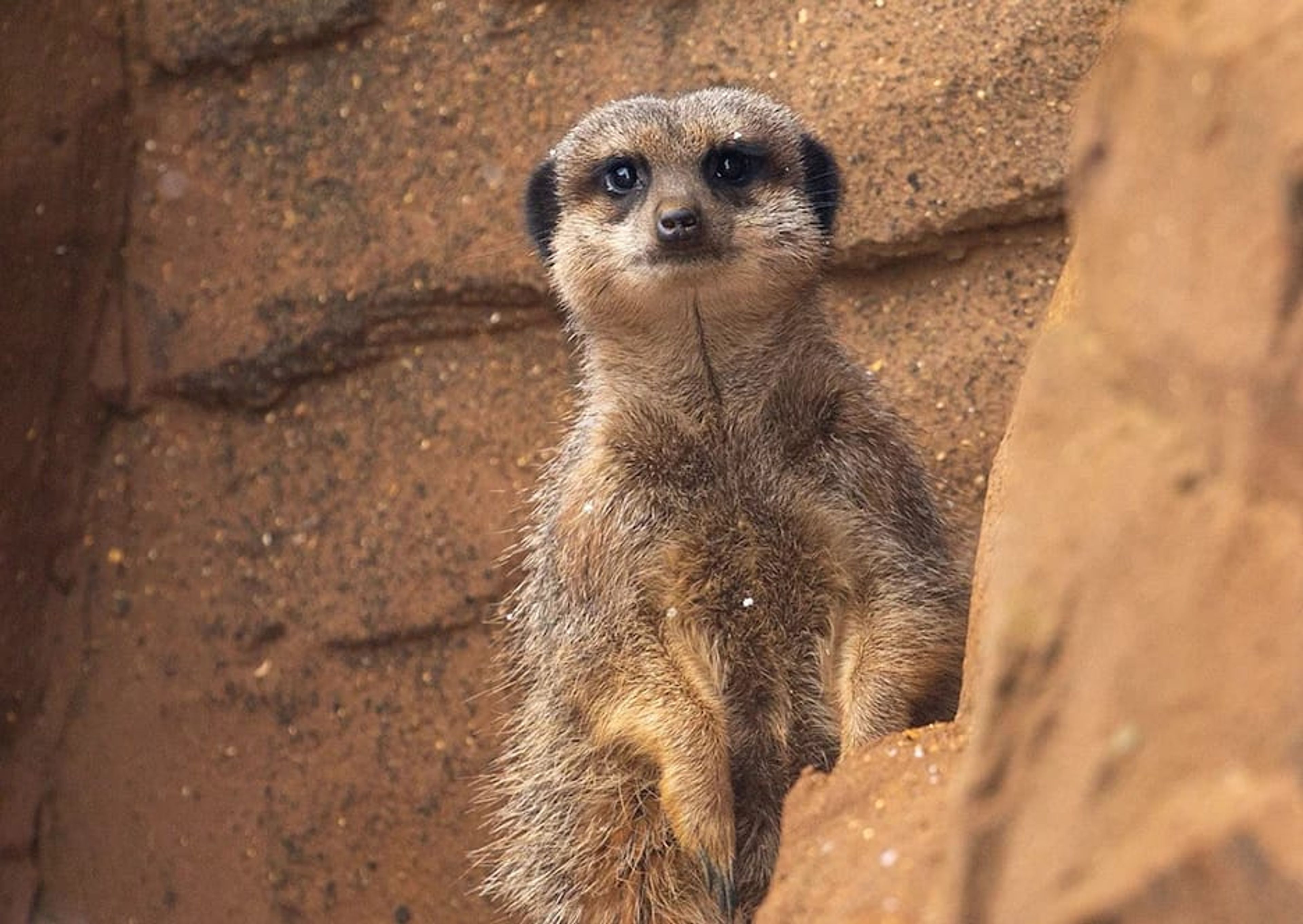 Did someone say interest fees?