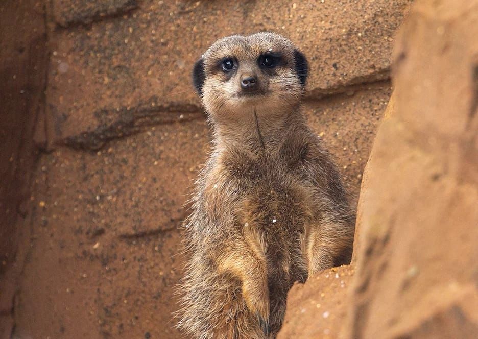 Did someone say interest fees?