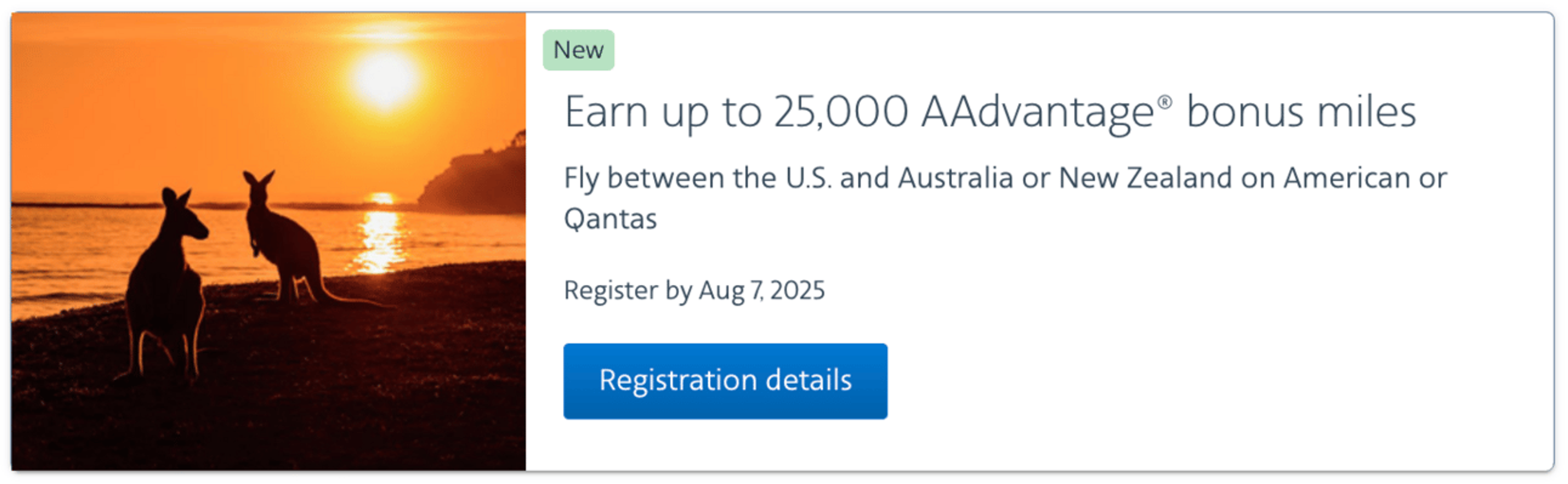 Earn 25,000 bonus AA miles