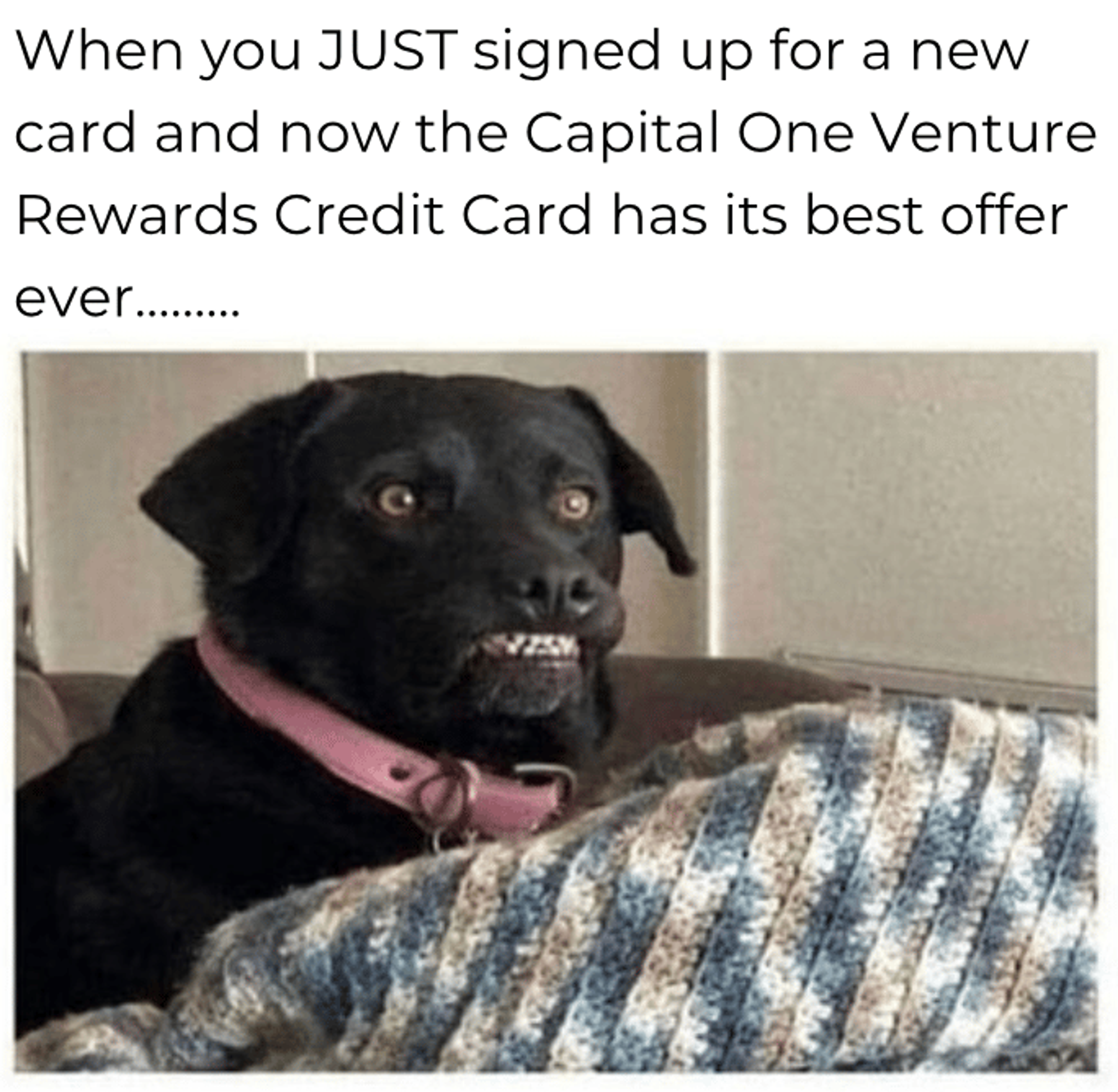 Meme with a black dog making a face