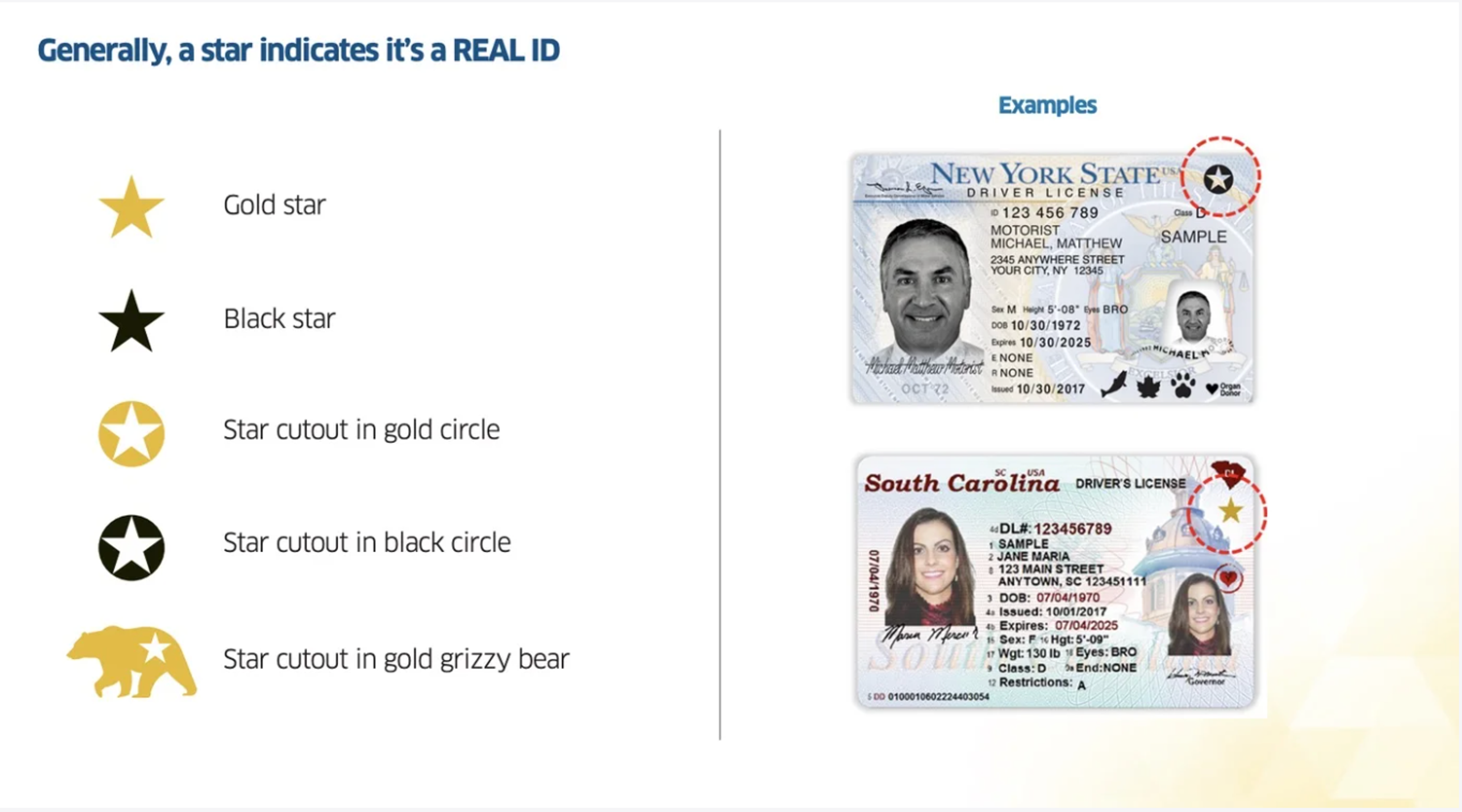 Real ID guidelines