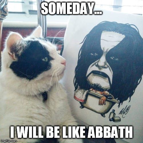 This should be funny if you like metal and/or cats.