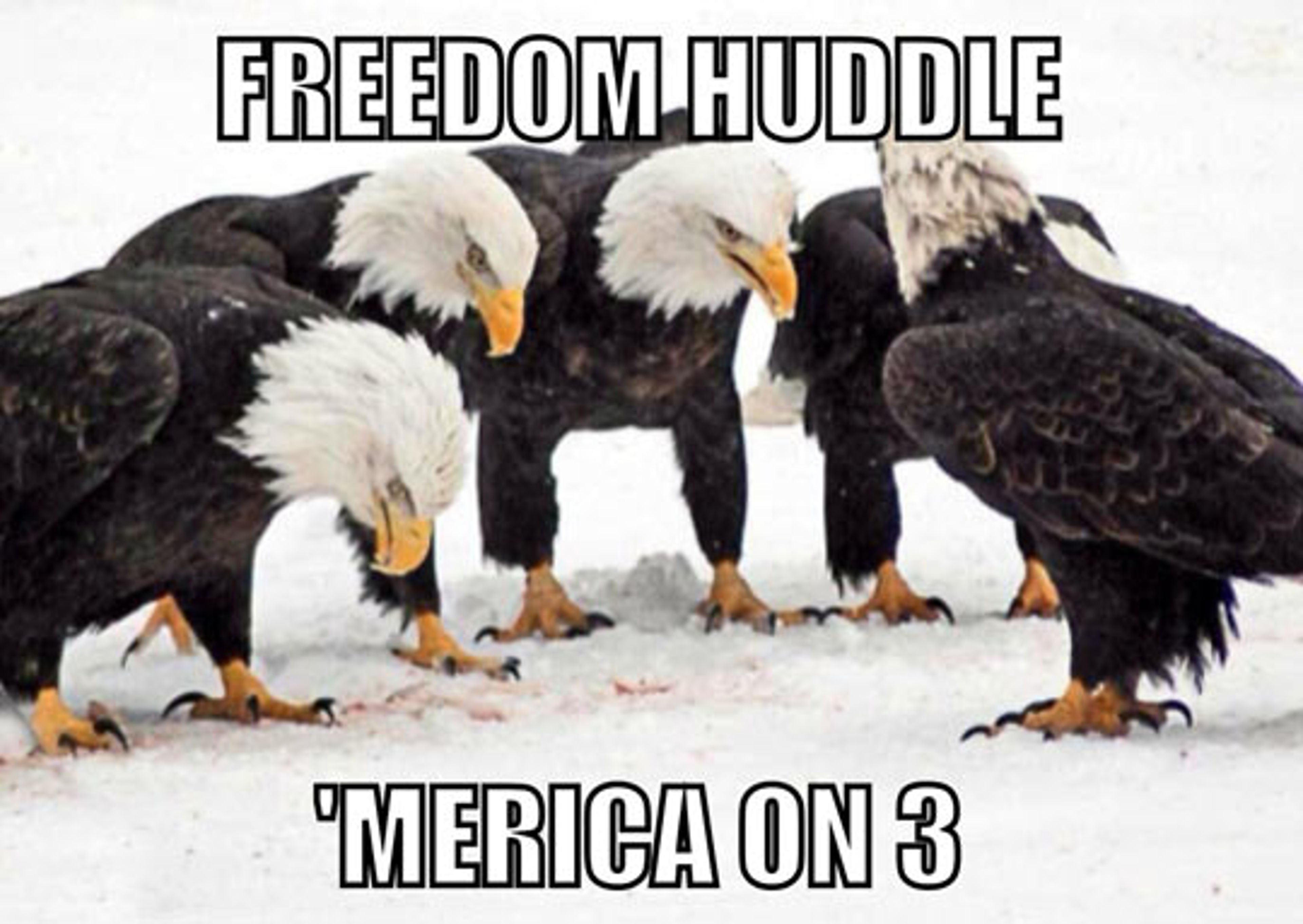 /merica meme