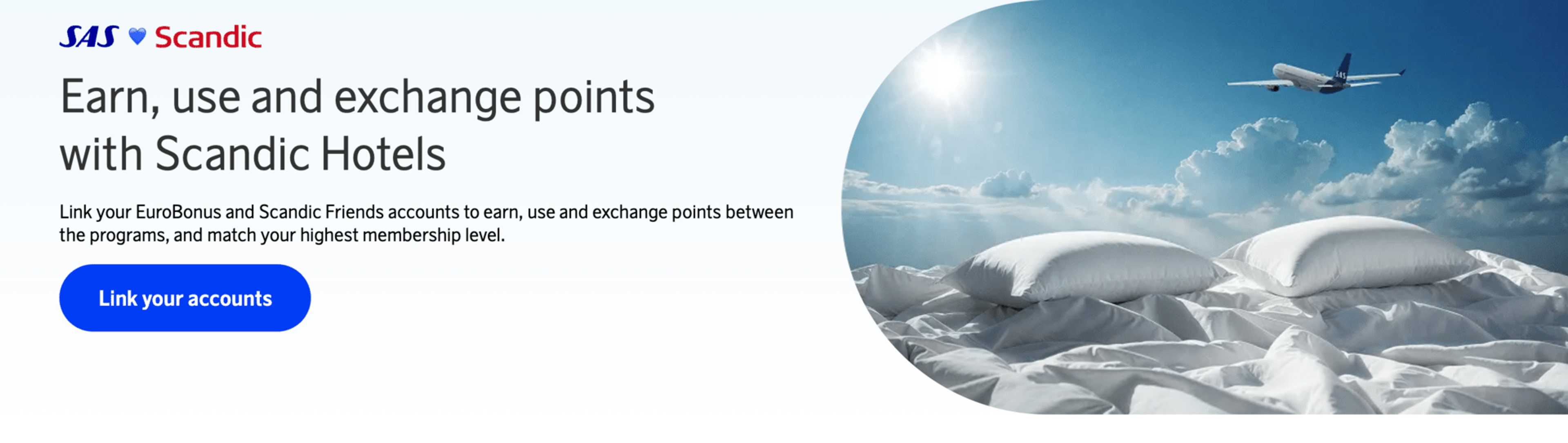 Screenshot from flysas.com