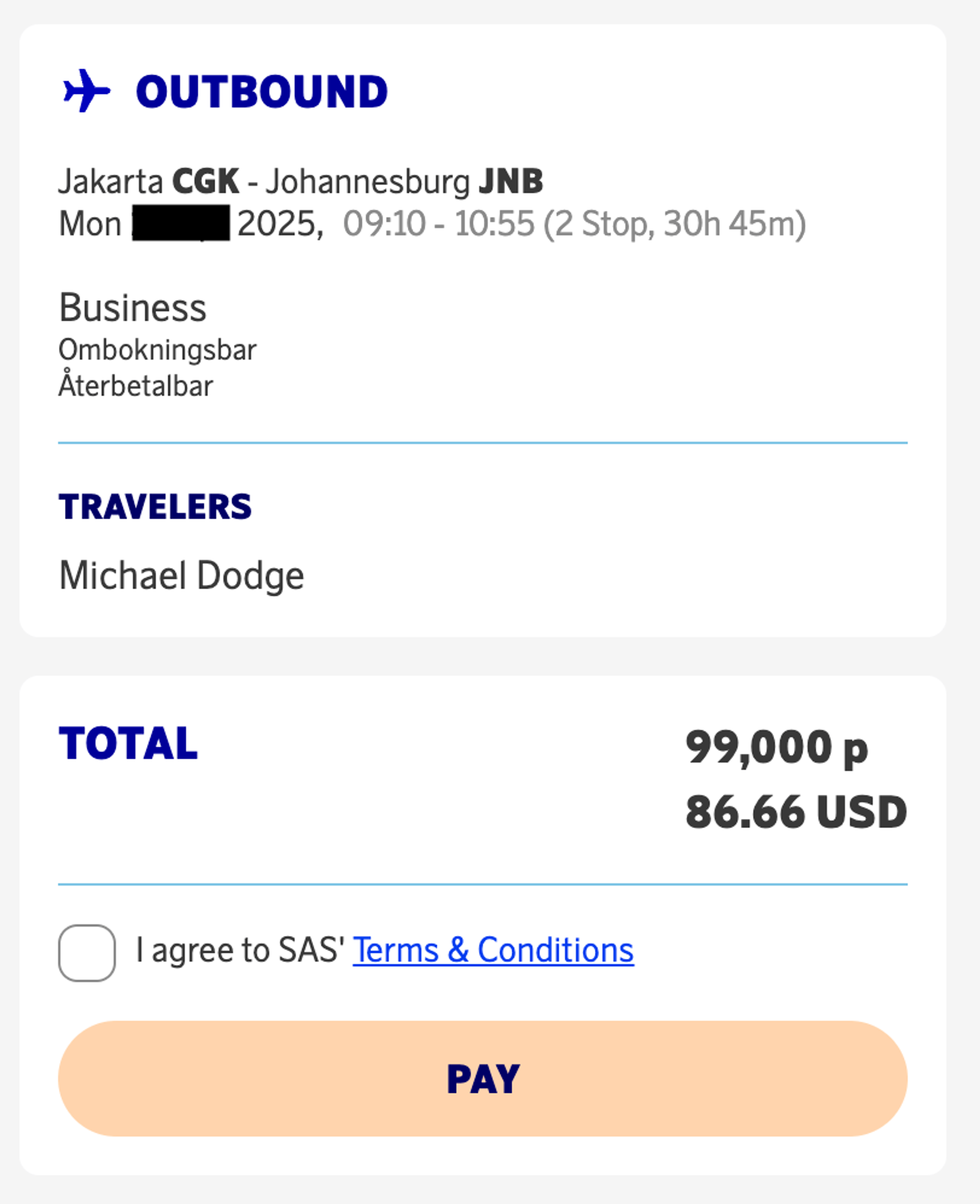 Jakarta to Johannesburg for 99,000 SAS miles