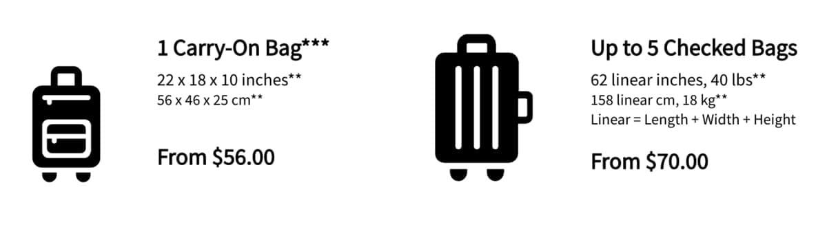 Carry on and checked bags