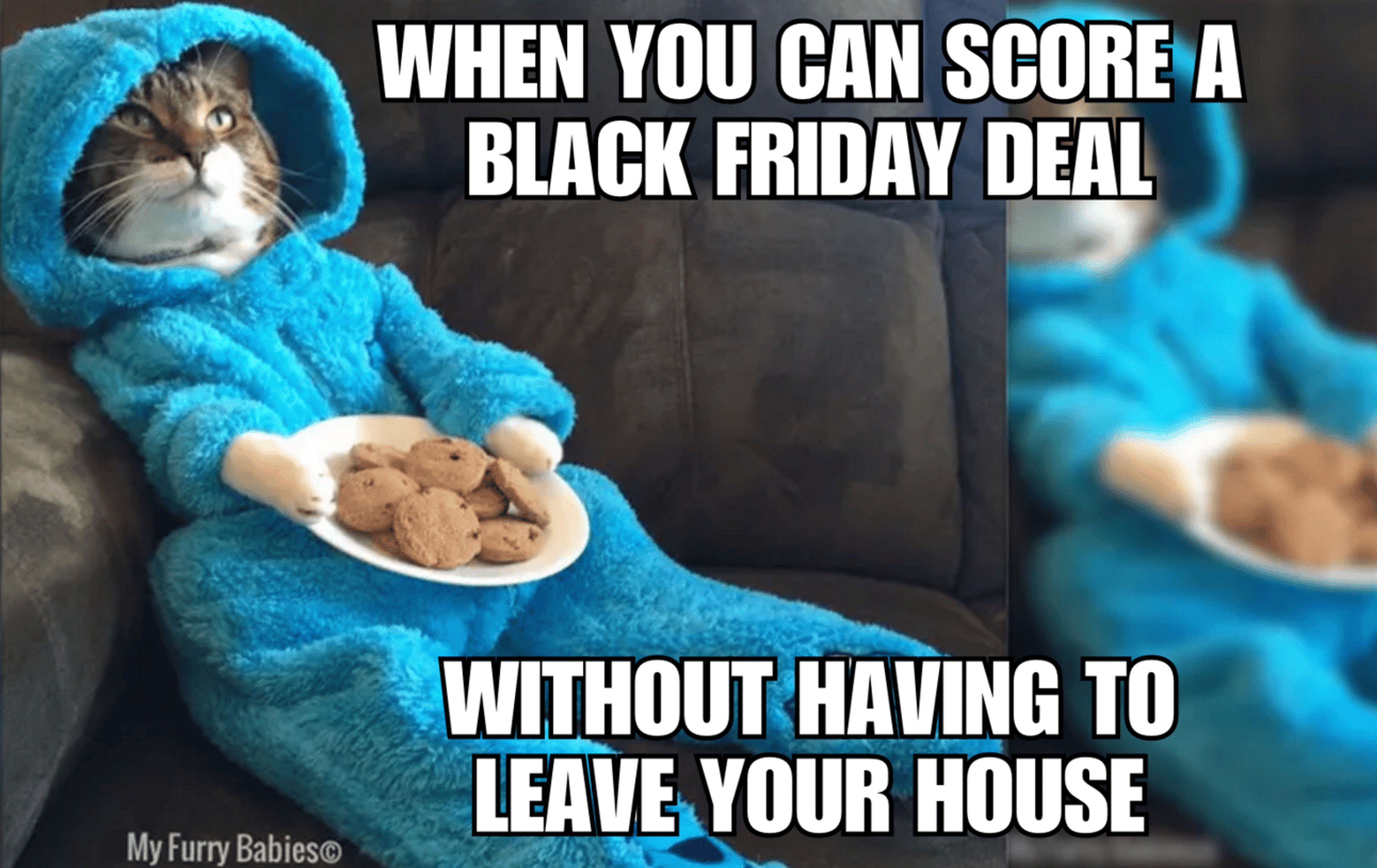 Black Friday meme