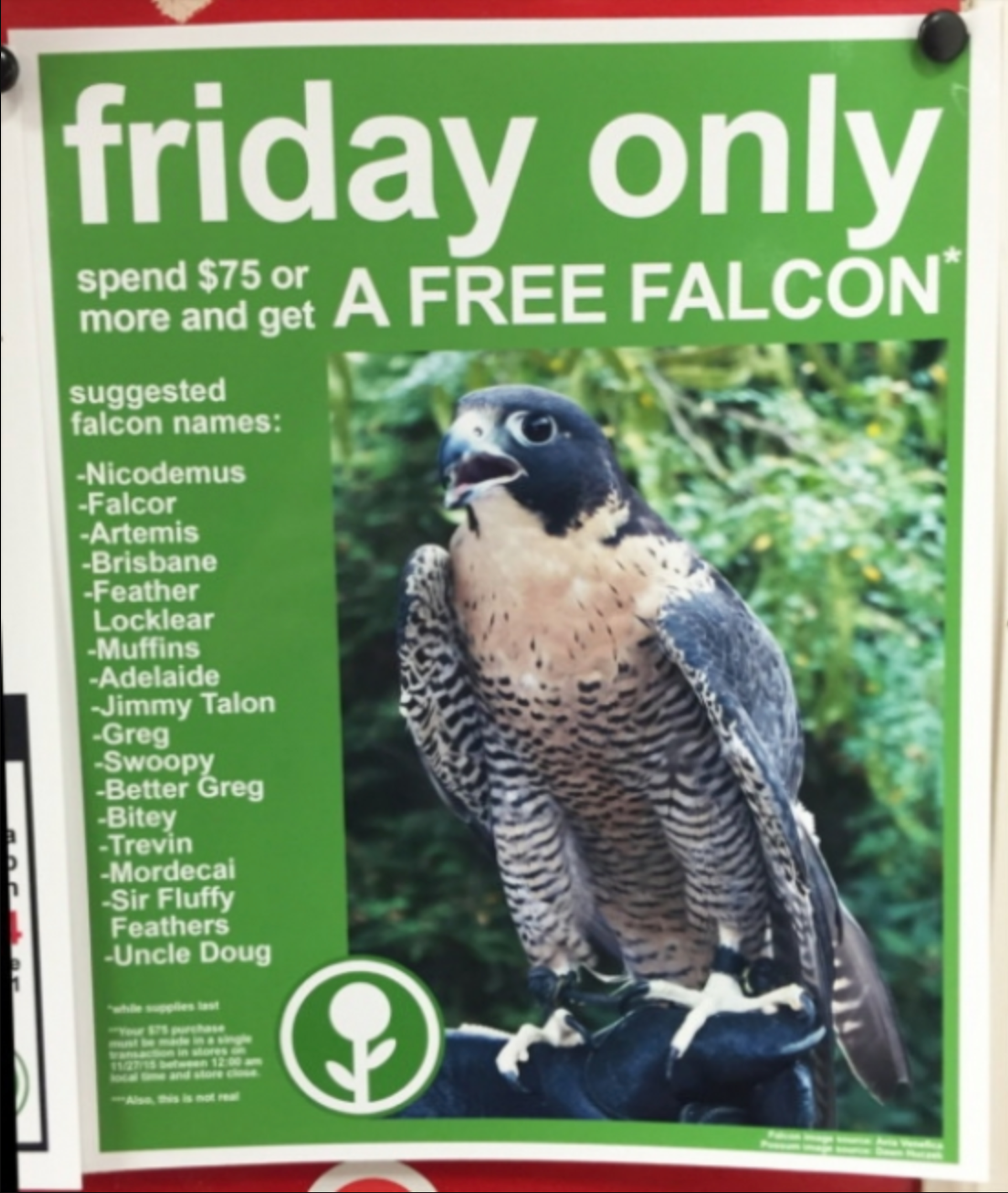 free falcons