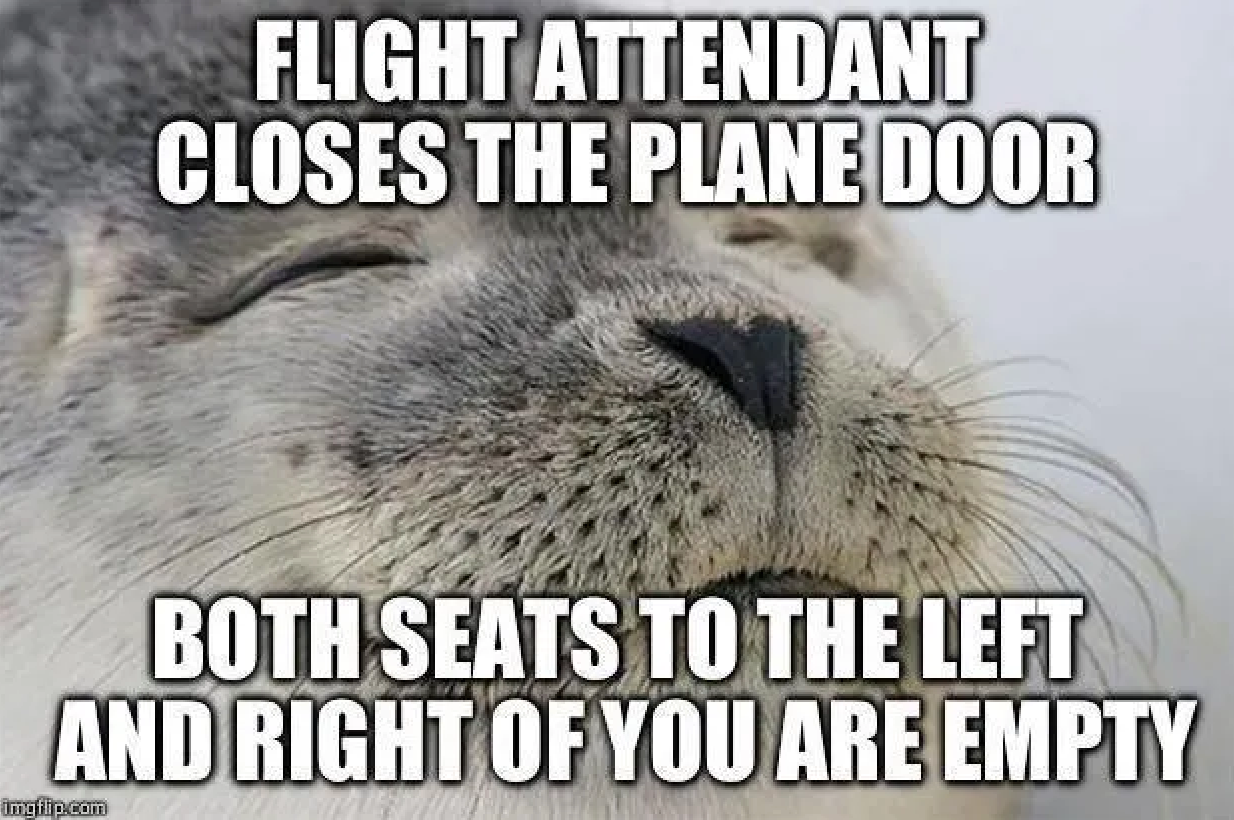 Seal meme