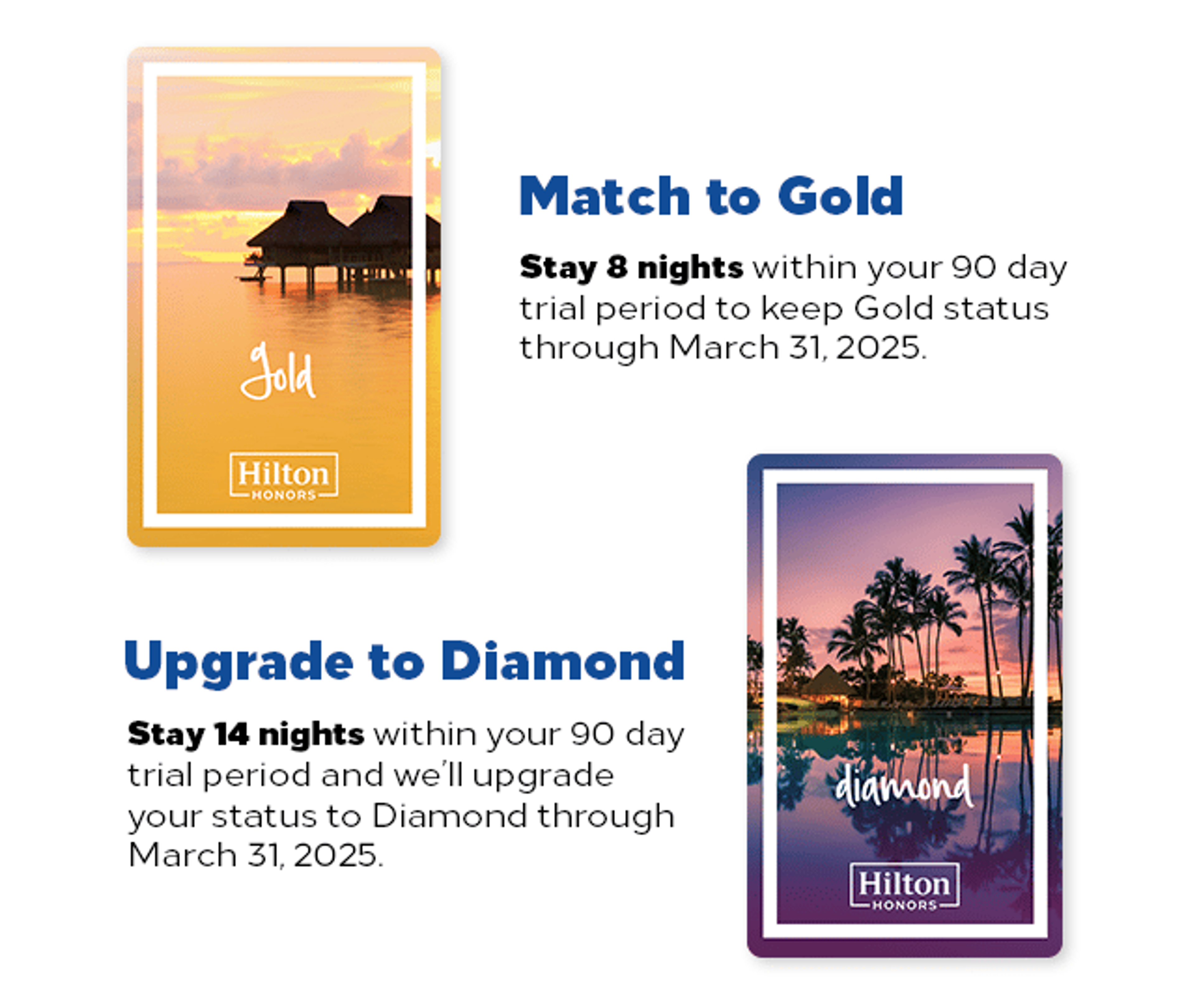 Hilton elite levels and requirements
